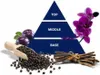 Gel lavant Felce Azzurra Black Orchid, 650 ml Voir les images du produit 1