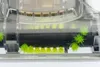 Mini Turbinendüse 32mm Universal für viele Staubsauger Produktbild-Vorschau 5