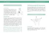 Massage-Handbuch Produktbild-Vorschau 7