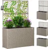 A planter box with a trellis and plants, shown with smaller versions of the planter box on the right. Voir les images du produit