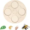 Set del ciclo di vita degli insetti, fasi degli insetti, Anteprima dell’immagine prodotto 2