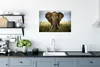 MuchoWow® Poster Elefant - Natur - Gras - Tiere - Produktbild-Vorschau 3