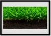 Bild 100x70 MDF-Rahmen Wandkunst Gras Natur Pflanze Produktbild-Vorschau 1