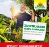 Neudorff Spruzit SchädlingsSpray 400 ml Produktbild-Vorschau 6