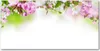 Tulup® Glas-Bild - 100x50 -Wandkunst - Wandbild hinter Produktbild-Vorschau 1