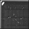 Denver pannello solare 10W per la centrale elettrica Anteprima dell’immagine prodotto 11