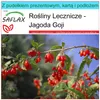 SAFLAX - Zestaw prezentowy - Jagoda Goji - 200 Nasiona - Z Podgląd zdjęcia produktu 10