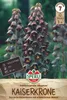 SPERLI Persische Kaiserkrone Adiyaman Fritillaria persica 1 Produktbild-Vorschau 3