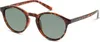 Polaroid Sonnenbrille PLD 1013/S V08/H8 Produktbild-Vorschau 6