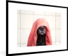 MuchoWow® MuchoWow® Gerahmtes Poster Hund mit einem roten Produktbild-Vorschau 1
