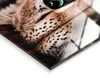 STYLER, tableau en verre 80x120 cm, lion avec des fleurs, Voir les images du produit 6