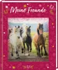 Freundebuch - Pferdefreunde - Meine Freunde Produktbild-Vorschau 1