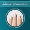 Compeed 1985647, 6 x 1 cm, Ovaal, Beige, 10 stuks Productafbeelding-voorbeeld 3