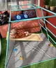 Spielplatz indoor, Klettergerüst aus Metal für Kinder, Produktbild-Vorschau 12