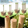 Floranica 6 x poteau clôture noisetier 150 cm, bois solide, Voir les images du produit 4
