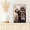 MuchoWow® - Leinwandbilder - Schottischer Highlander - Produktbild-Vorschau 6