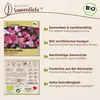 Samenliebe  Bartnelke Samen | Schnittblume - winterhart & Produktbild-Vorschau 3