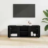 vidaXL TV skrinka, 100 x 31,5 x 35 cm, čierna, vzhľad Náhľad obrázku produktu 4