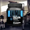 A tub of Animal Creatine Monohydrate is placed in a gym setting with weights and equipment in the background. Produktbild-Vorschau