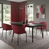 ML-Design stoličky do jedálne sada 2 červených kuchynských Náhľad obrázku produktu 9