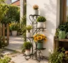 WISFOR Blumentreppe Blumenregal mit 5 Ablagen aus Metall Produktbild-Vorschau 2