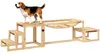Zestaw do agility dla psów – sprzęt treningowy – tor Podgląd zdjęcia produktu 1