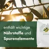 Meine Orangerie Olivenbaum Erde 10 L - Spezial Erde für Produktbild-Vorschau 2