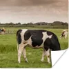 MuchoWow® Poster Kühe - Mühle - Niederlande 50x50 cm - Produktbild-Vorschau 1
