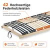 LEO 42 NV Lattenrost 140x200 cm 42 Federleisten 7 Zonen 10 Produktbild-Vorschau 6