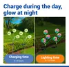 Maximex Solar LED Gartenstecker Pusteblume, 2er Set, LEDs Produktbild-Vorschau 4