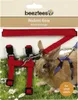 Beeztees Geschirr Kaninchen - Nager - Nylon - Farblich Produktbild-Vorschau 2