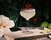 Spiegelau Perfect Serve Coll. Perfect Coupette Glass Set/4 Voir les images du produit 8