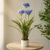 Künstliche Agapanthus-Blume im Topf, 50 x 80 cm Produktbild-Vorschau 3