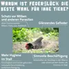Federglück by Petigi Sandbad Staubbad Badesand für Hühner Produktbild-Vorschau 4