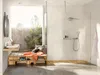 Doccetta Hansgrohe Raindance Select S 120 EcoSmart Anteprima dell’immagine prodotto 2
