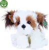 Plüsch Shih Tzu 28 cm umweltfreundlich Produktbild-Vorschau 6
