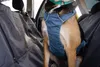 Ruffwear Load Up™ Samochodowe szelki bezpieczeństwa | Podgląd zdjęcia produktu 16
