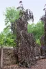 Fagus sylvatica, Rotbuche, 125–150 cm Produktbild-Vorschau 15