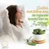 Zühre Ana® Kieferzapfen Paste 240g – 100% Natürliches Produktbild-Vorschau 4