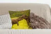 MuchoWow® Zierkissen Sofakissen Wohnzimmer Dekokissen 45x45 Produktbild-Vorschau 4