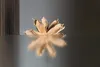 A dried flower-like object is placed on a reflective surface, with a blurred background. Anteprima dell’immagine prodotto