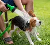 Dehnbarer Gartenschlauch 60M Flexibel Mit Spritzpistole Und Produktbild-Vorschau 7