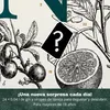 Wajos Gin Collection calendario adviento 2026, 24 x 0,04 l, Vista previa de la imagen del producto 3