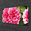 Tulup Leinwand-Bilder 100x50 Wandbild Canvas Kunstdruck Produktbild-Vorschau 2