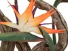 EUROPALMS Rajský pták květina, umělá rostlina, oranžová, Náhled obrázku produktu 4