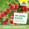 Neudorff NeudoHum BeerenobstErde 20L für Erdbeeren, Produktbild-Vorschau 6