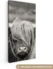 MuchoWow® - Leinwandbilder - Schottischer Highlander - Kuh Produktbild-Vorschau 1