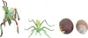 Wachstumszyklus-Insektenspielzeug, hochsimuliertes Produktbild-Vorschau 3