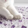 Close-up of white cat paws resting on a bed of purple and white crystals. Anteprima dell’immagine prodotto