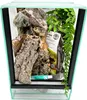 Terrario in vetro con accessori, set 20x20x30 cm per Anteprima dell’immagine prodotto 7